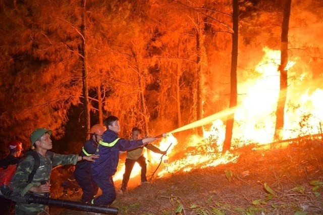  Forest fires ravage central region - ảnh 1