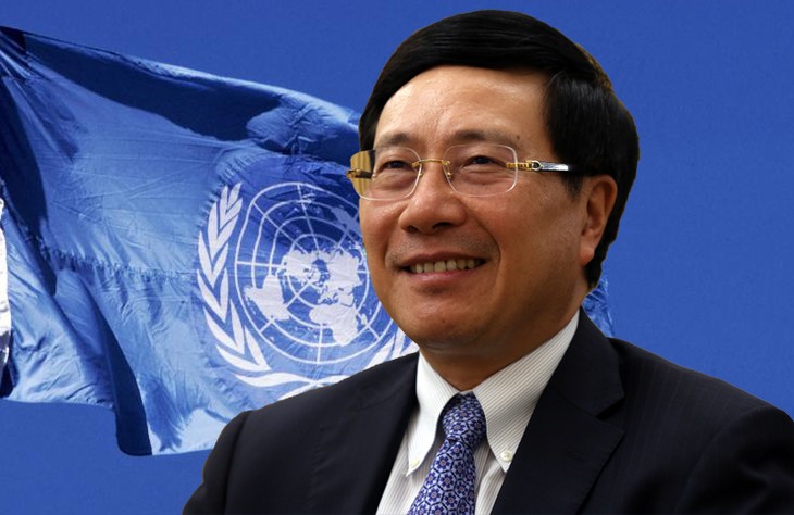 Honoring UN Charter to maintain international peace and stability - ảnh 1