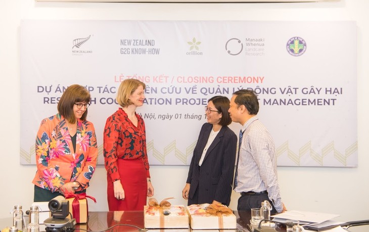Vietnam, New Zealand cooperate in increasing rice productivity - ảnh 1