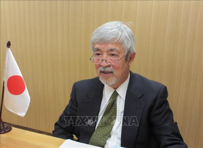 Vietnam excellent as ASEAN Chair despite pandemic: Japanese expert - ảnh 1