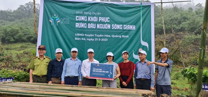 Quang Binh province restores upstream forest of Gianh river - ảnh 1