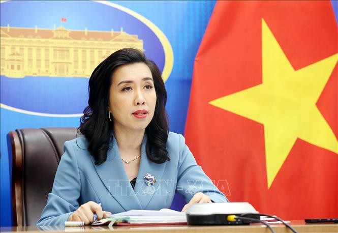 Vietnam stays consistent with its view on the East Sea issue - ảnh 1