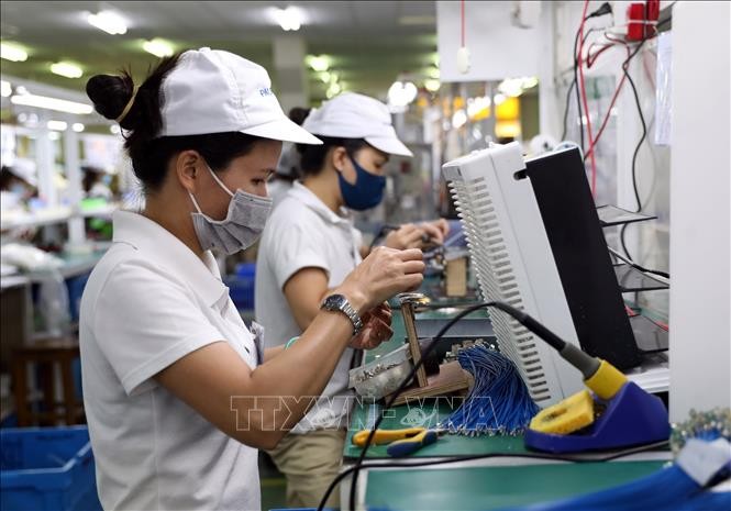 Vietnam adopts new policies to help businesses overcome difficulties in pandemic - ảnh 1