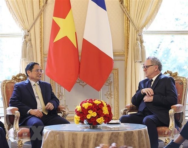 Vietnam, France issue joint statement - ảnh 2
