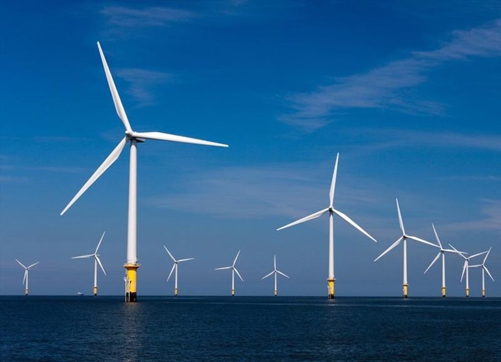 Offshore wind power promoted for Vietnam’s clean energy future - ảnh 1