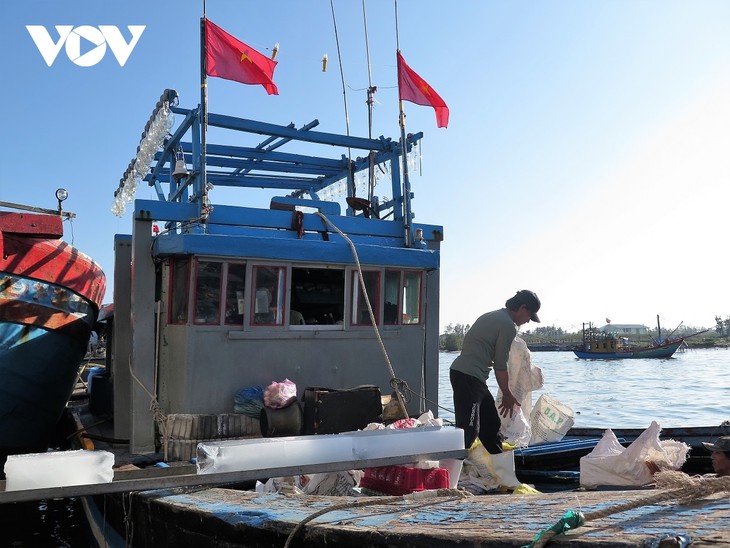 Quang Ngai fishermen busy at year’s end - ảnh 1