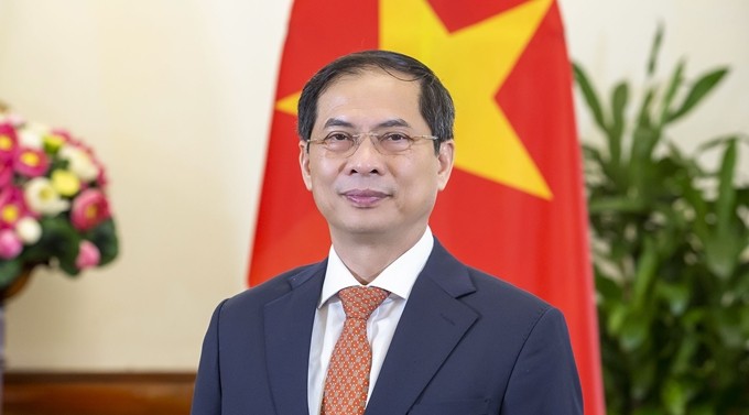 Success at UNSC increases global trust in Vietnam  - ảnh 2