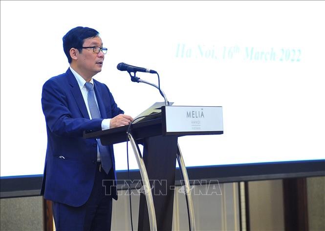 Vietnam, Sierra Leone promote trade and investment - ảnh 1