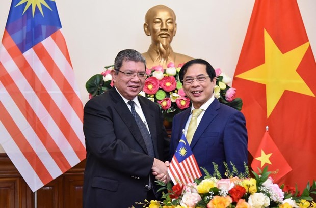 Vietnamese, Malaysia Foreign Ministers hold talks - ảnh 1