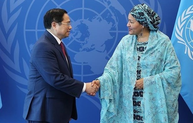 Vietnam to play more active role at UN: PM - ảnh 1