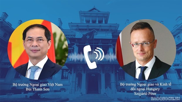 Vietnam wants stronger ties with EU, Hungary - ảnh 2