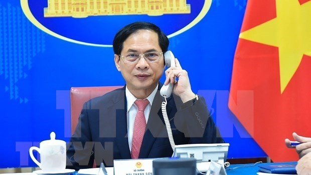 Vietnam always promotes ties with Czech Republic: FM - ảnh 1