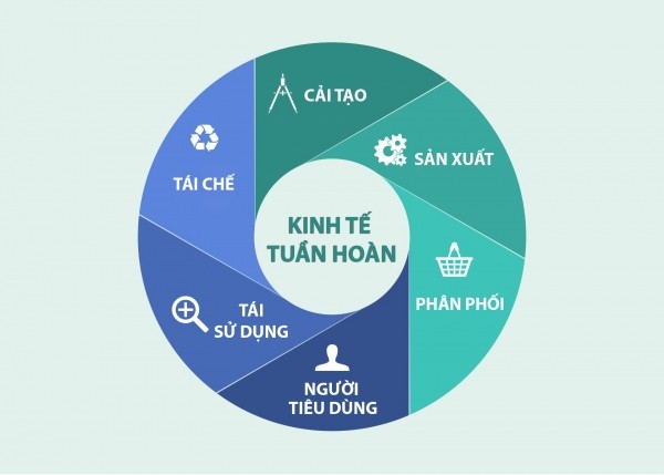 Vietnam promotes circular economy - ảnh 1
