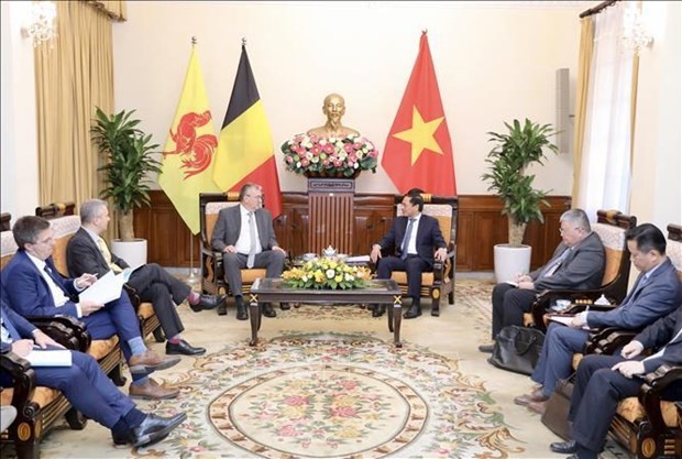 Foreign Minister hails Wallonie-Bruxelles’ support for Vietnam - ảnh 1