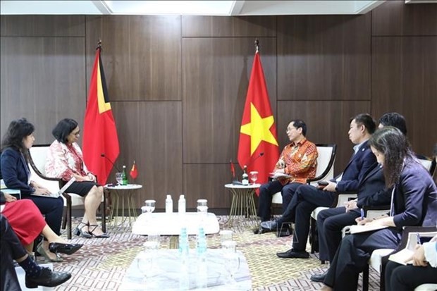 Vietnam to help Timor Leste soon become official member of ASEAN: FM - ảnh 1