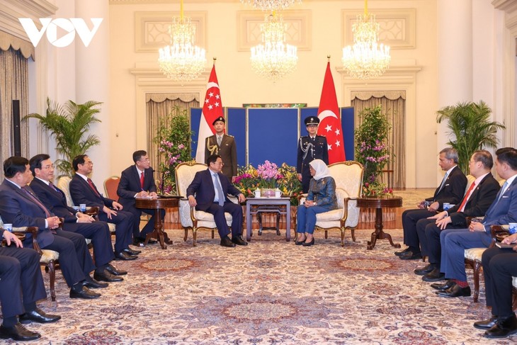 Prime Minister meets Singaporean President - ảnh 2