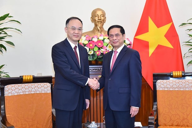 Leaders of Ministry of Foreign Affairs receive, hold talks with Chinese official - ảnh 1