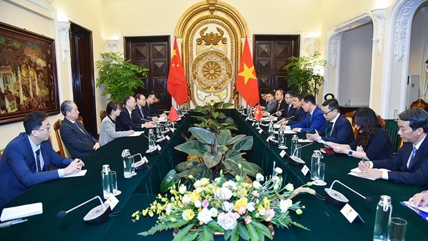 Leaders of Ministry of Foreign Affairs receive, hold talks with Chinese official - ảnh 2