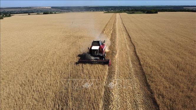 Deal reached in principle to resume Ukraine grain transit with 5 EU countries - ảnh 1