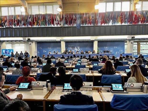 Vietnam attends 43rd Session of Ministerial-level FAO Conference - ảnh 1
