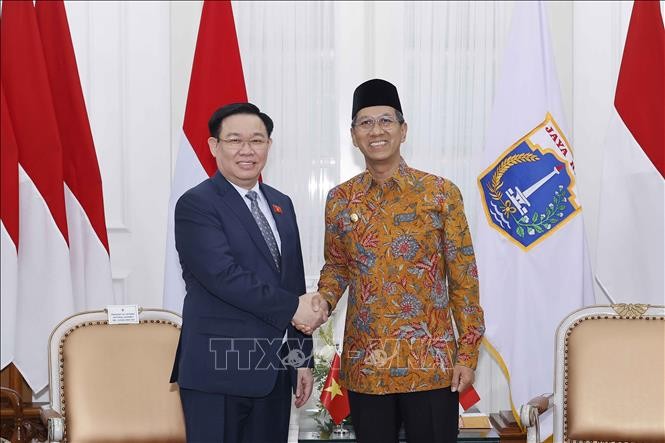 Vietnamese National Assembly Chairman receives Jakarta Governor - ảnh 1