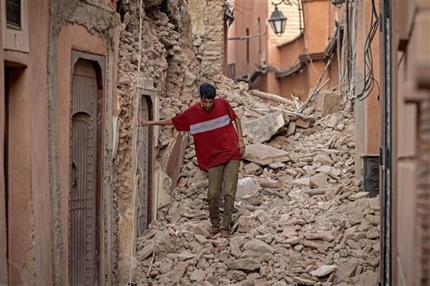 Morocco earthquake: No Vietnamese victim reported so far: Ambassador - ảnh 1
