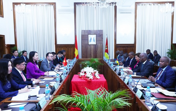 Mozambique- Vietnam's key cooperation partner in Africa - ảnh 2
