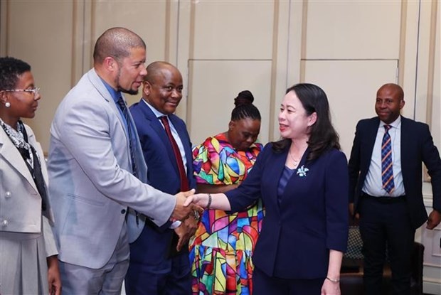 Vice President meets with South African businesses - ảnh 1