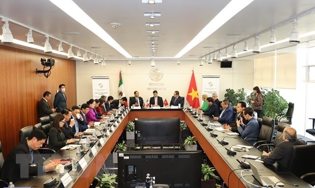Vietnam hopes for Joint Statement on establishing Vietnam-Mexico Comprehensive Partnership  - ảnh 2