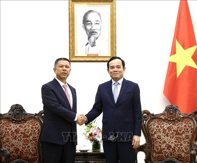 Deputy Prime Minister Tran Luu Quang receives Chairman of Trina Solar Group - ảnh 1