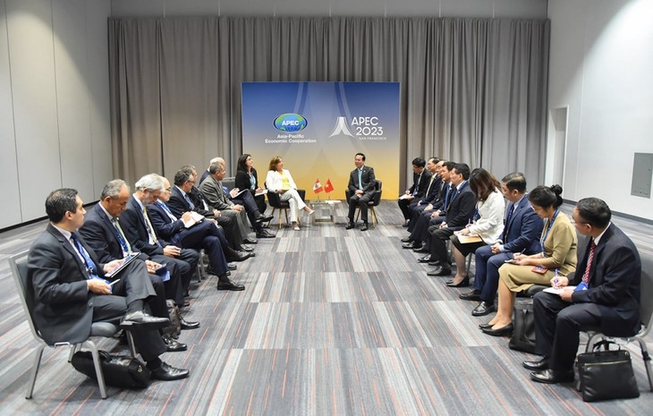 Vietnam, Peru vow stronger bilateral cooperation  - ảnh 2