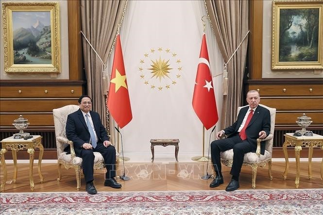 Vietnam, Turkey issue joint statement on future cooperation - ảnh 1