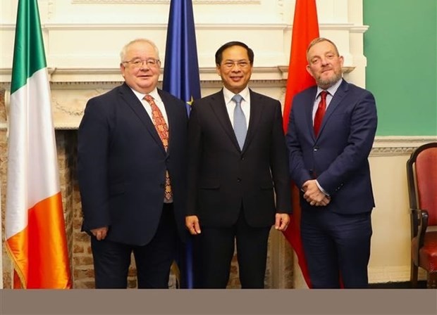 Vietnam, Ireland to forge cooperation in numerous spheres - ảnh 2