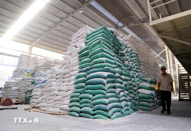 Vietnam becomes largest rice exporter to Singapore - ảnh 1