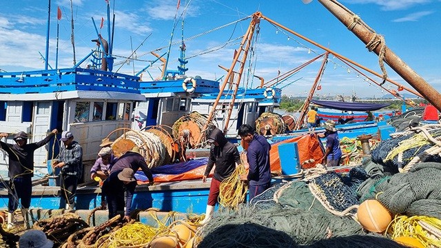 Vietnam to become a country with modern, sustainable fisheries development by 2050 - ảnh 1