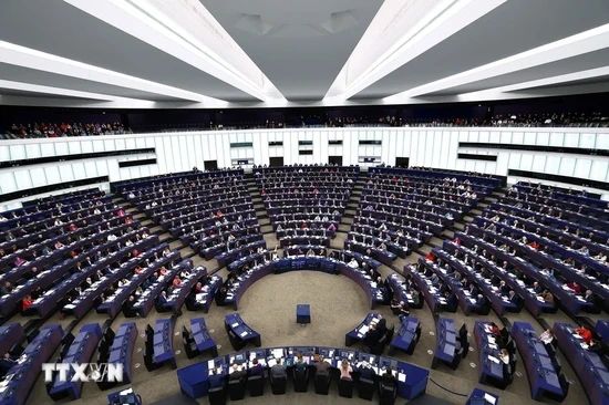 EU voters head to polls to elect European Parliament members - ảnh 1