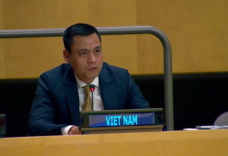 Vietnam pledges continued support for people affected by humanitarian crises - ảnh 2