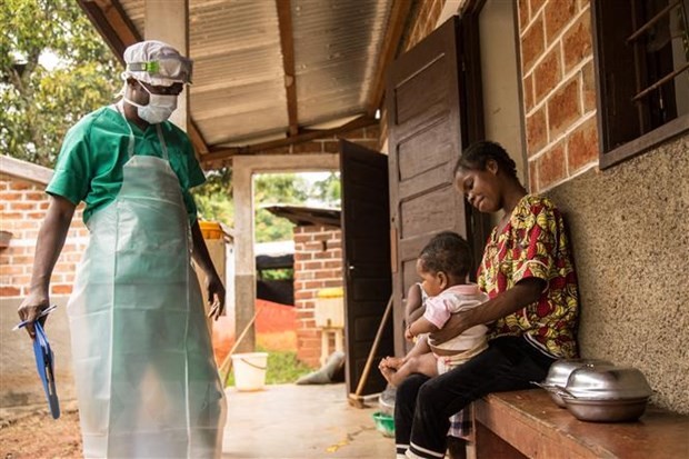 WHO quan ngại về quy mô và mức độ lây lan của virus đậu mùa khỉ  - ảnh 1