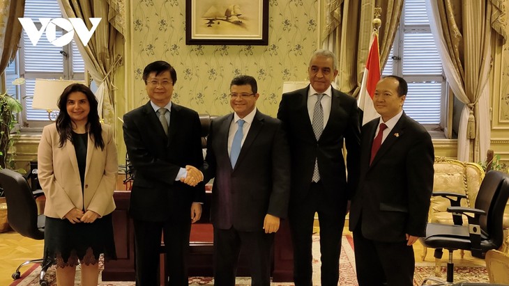 Việt Nam và Ai Cập nhất trí đẩy mạnh quan hệ hợp tác nhiều mặt - ảnh 2