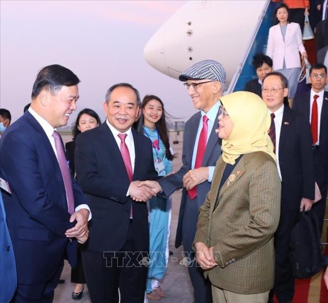 Tổng thống Singapore Halimah Yacob bắt đầu thăm cấp Nhà nước Việt Nam - ảnh 2