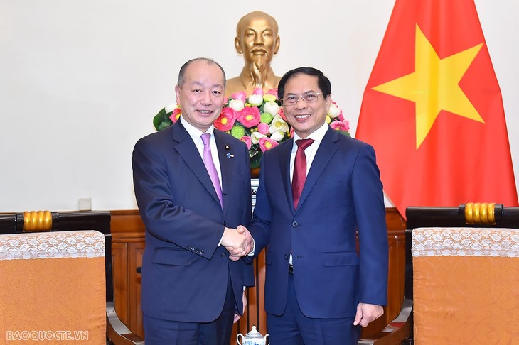 Việt Nam có vị trí quan trọng hàng đầu trong triển khai chính sách đối ngoại của Nhật Bản  - ảnh 1