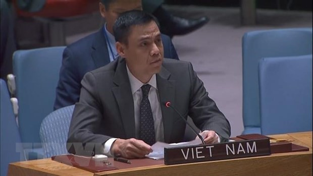 Việt Nam tiếp tục khẳng định lập trường nhất quán về vấn đề Palestine - ảnh 1
