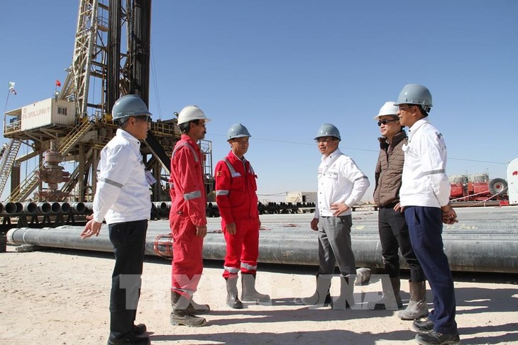 Việt Nam đàm phán giai đoạn 2 dự án Liên doanh khai thác dầu khí tại Algeria - ảnh 1