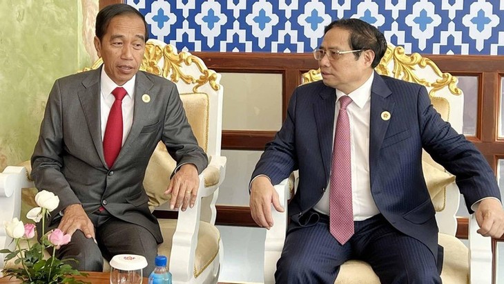 Tăng cường quan hệ hữu nghị truyền thống và Đối tác Chiến lược Việt Nam-Indonesia - ảnh 1
