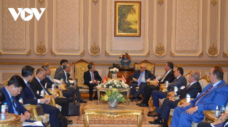 Việt Nam và Ai Cập tăng cường hợp tác nghị viện - ảnh 3