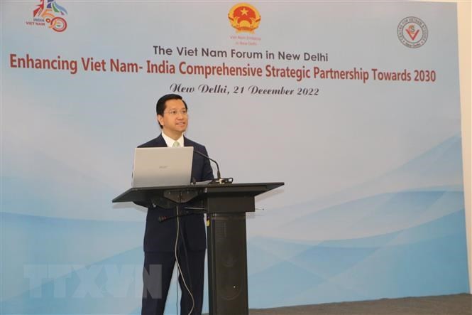 Tăng cường quan hệ đối tác chiến lược toàn diện Việt Nam - Ấn Độ - ảnh 1
