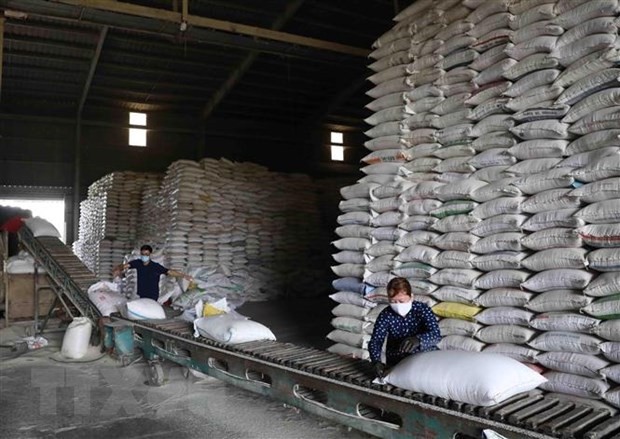Giá gạo Việt Nam tăng cao nhất trong vòng 2 năm qua - ảnh 1