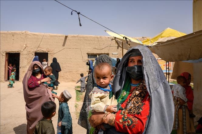 美国将拨款1.5亿美元援助阿富汗妇女和儿童 - ảnh 1
