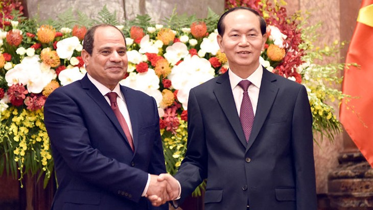 Egypt pledges optimal conditions for Vietnamese products    - ảnh 1