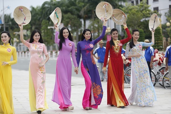 Party resolution encourages Vietnam’s international cultural integration  - ảnh 2